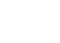 Wondersys Logo